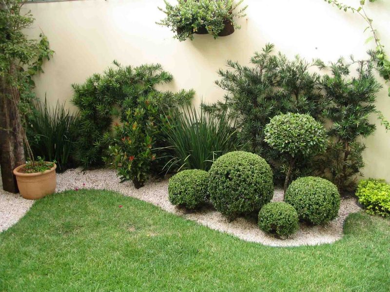 Passo a passo montando jardim Passo a passo montando jardim