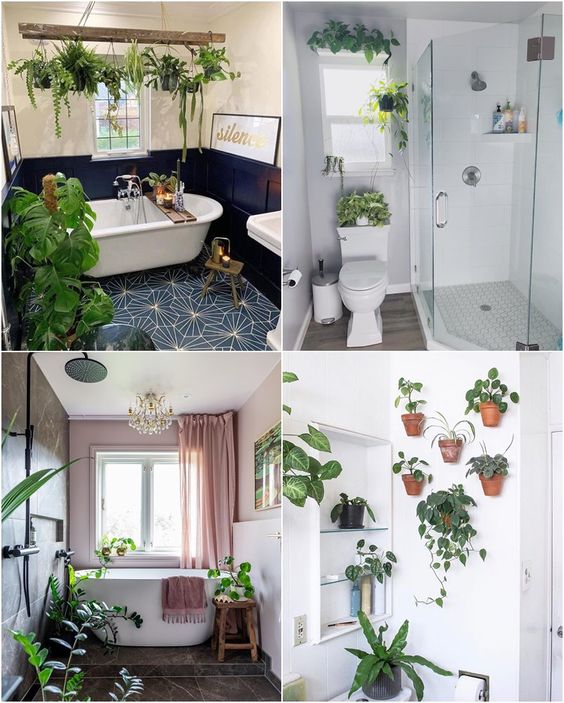 decoração com plantas em casa banheiro