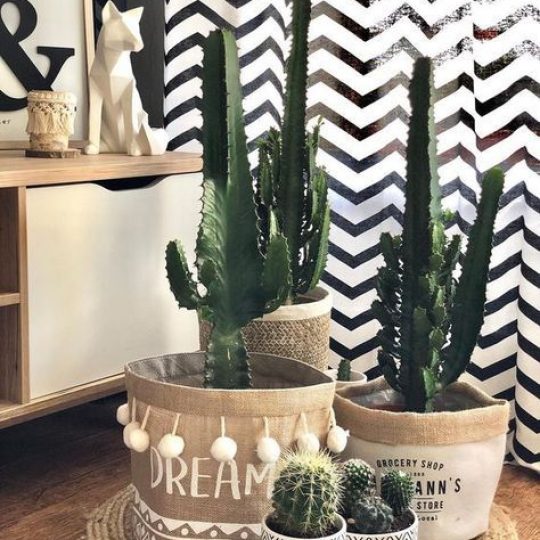 decoração com plantas em casa banheiro