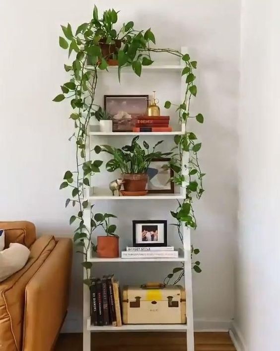 decoração com plantas em casa