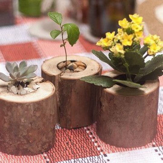 Vaso de madeira: Como usar e o que plantar? [AQUI]