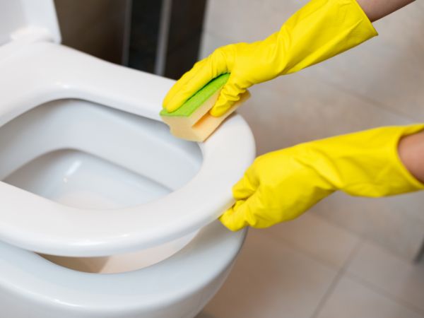 como limpar vaso sanitário corretamente
